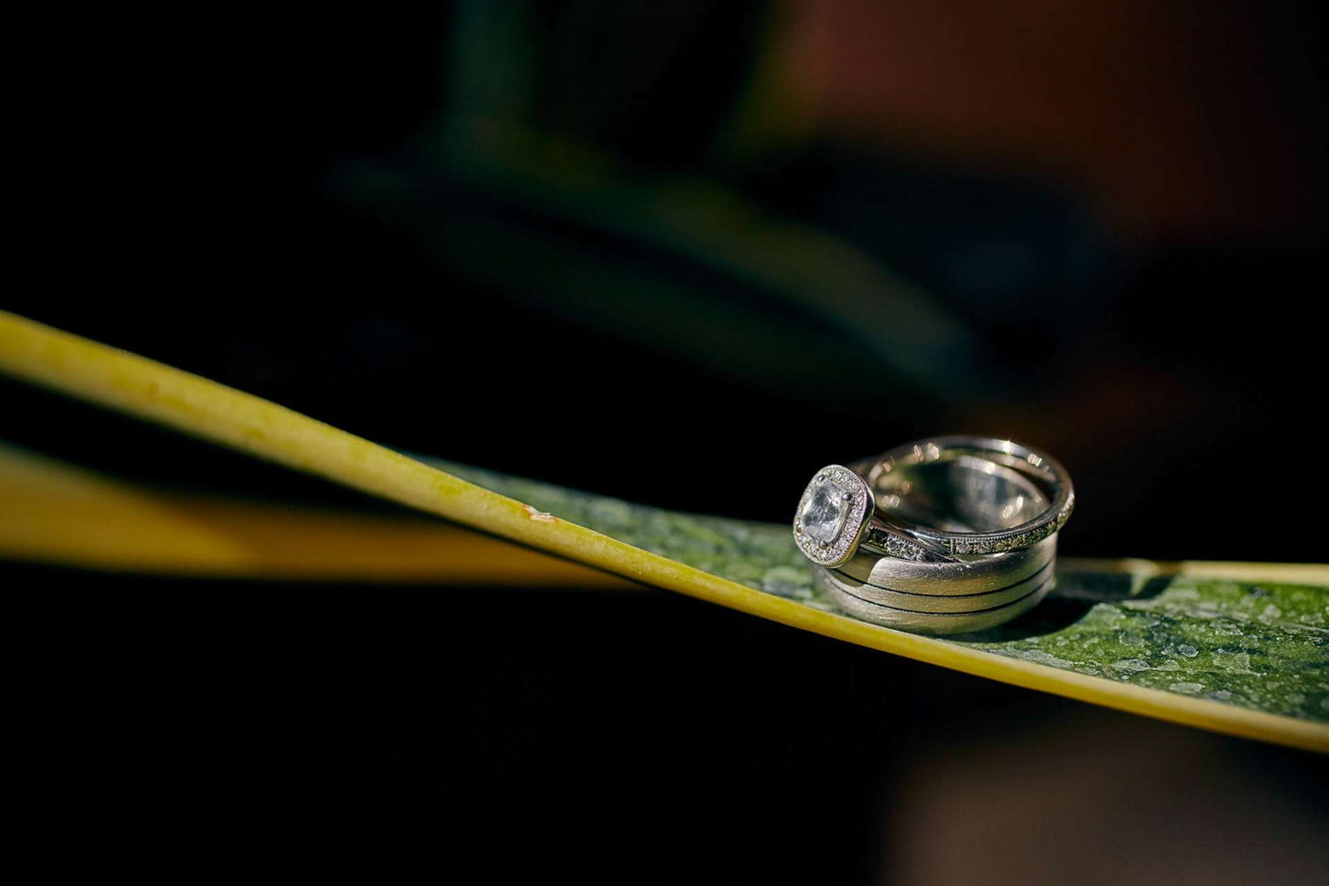 Tamarindo Costa Rica Elopement Photographer