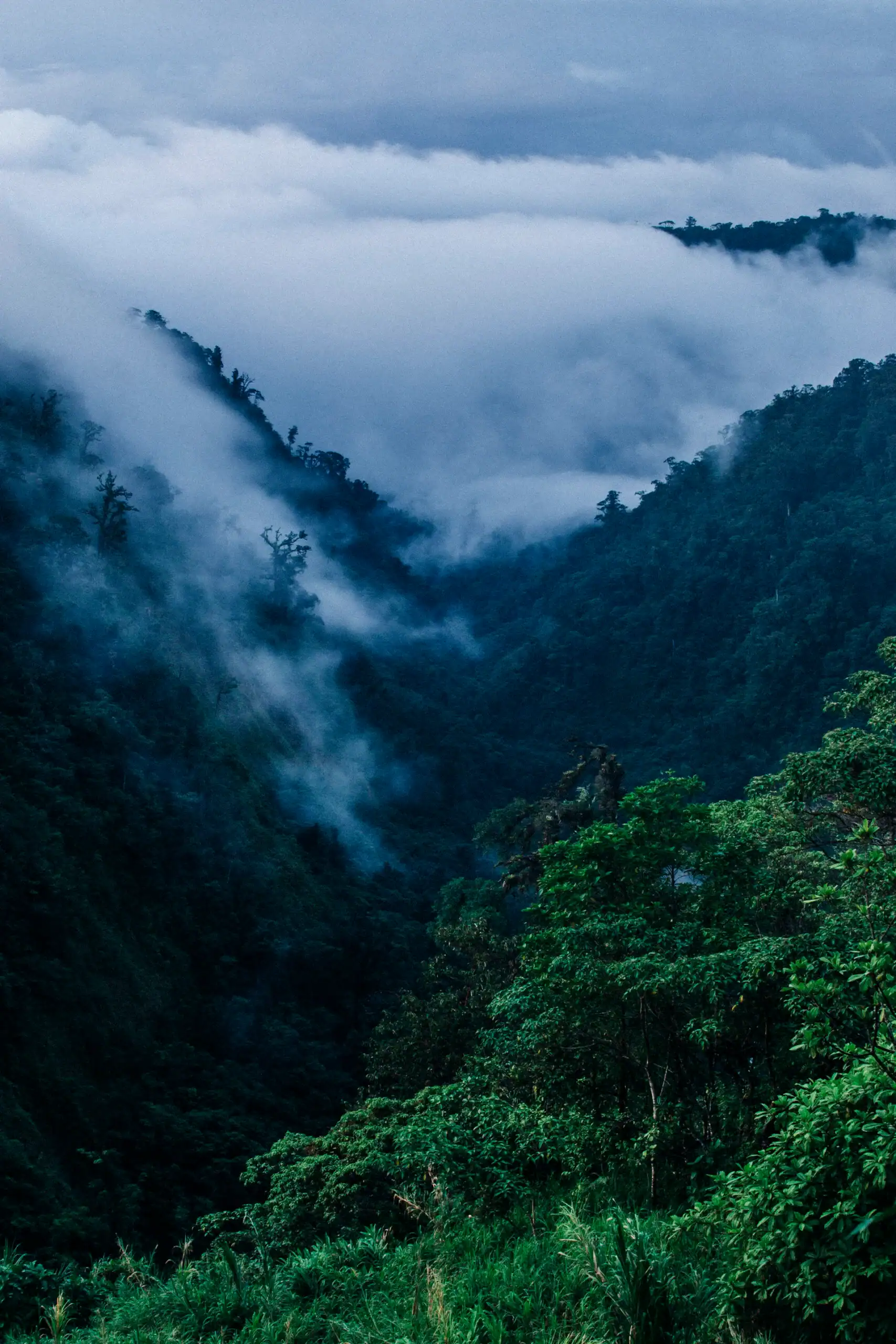 weddings costa rica at a foggy mountain range with trees costa rica photographer 