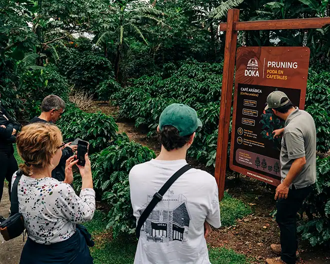 weddings costa rica guest activities 