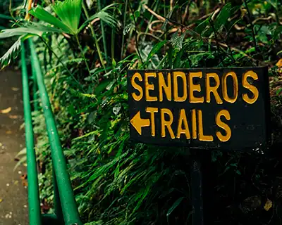 weddings costa rica guest activities