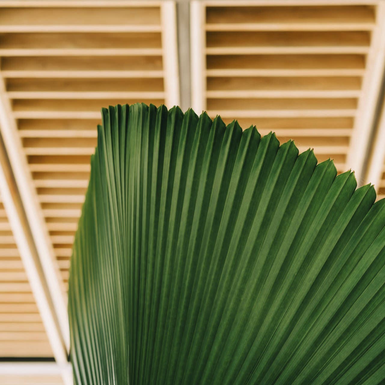 costa rica wedding venues