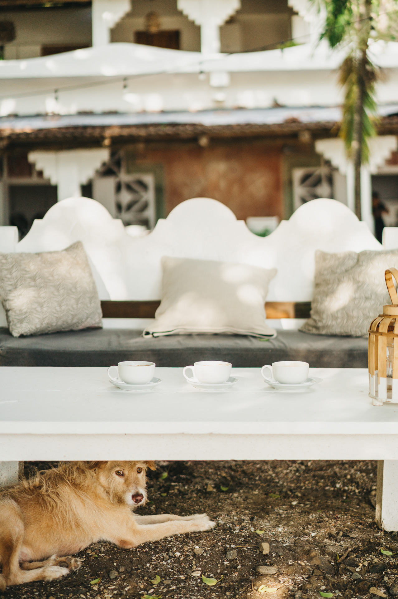 costa rica wellness wedding