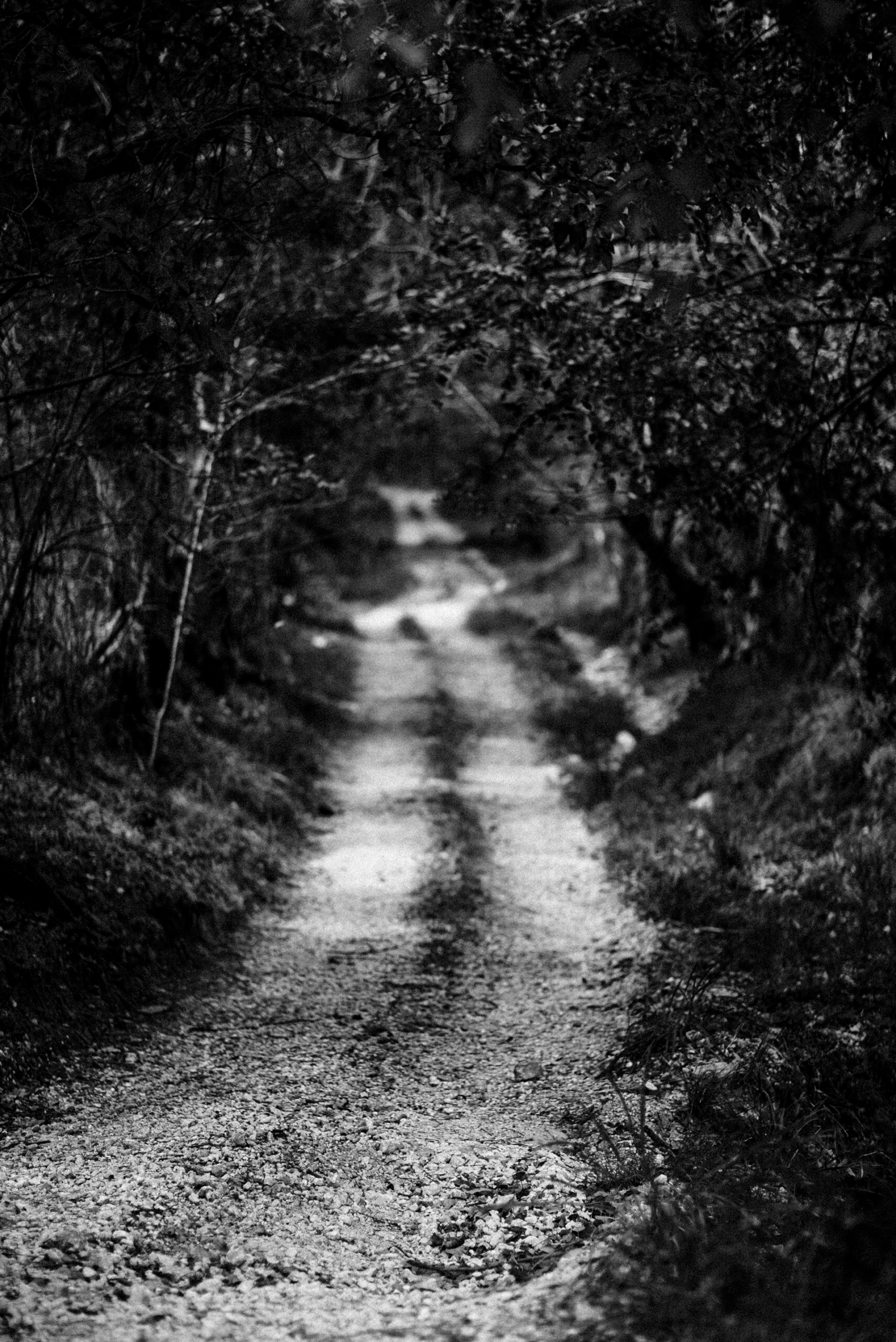 costa rica wellness wedding