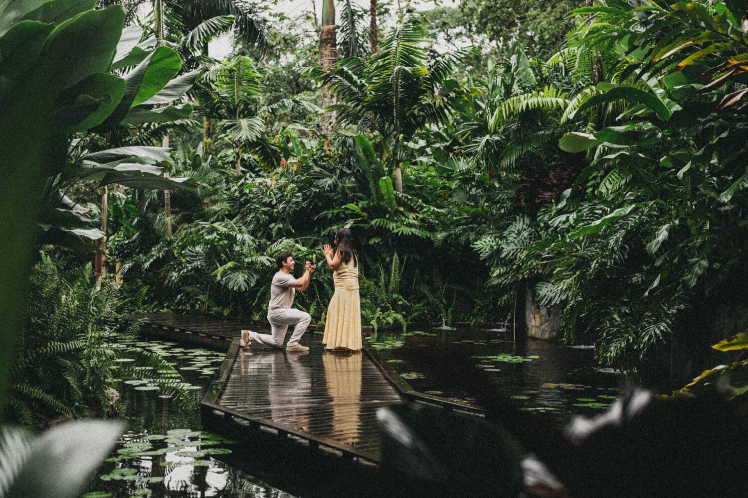 SURPRISE PROPOSAL IN LA FORTUNA