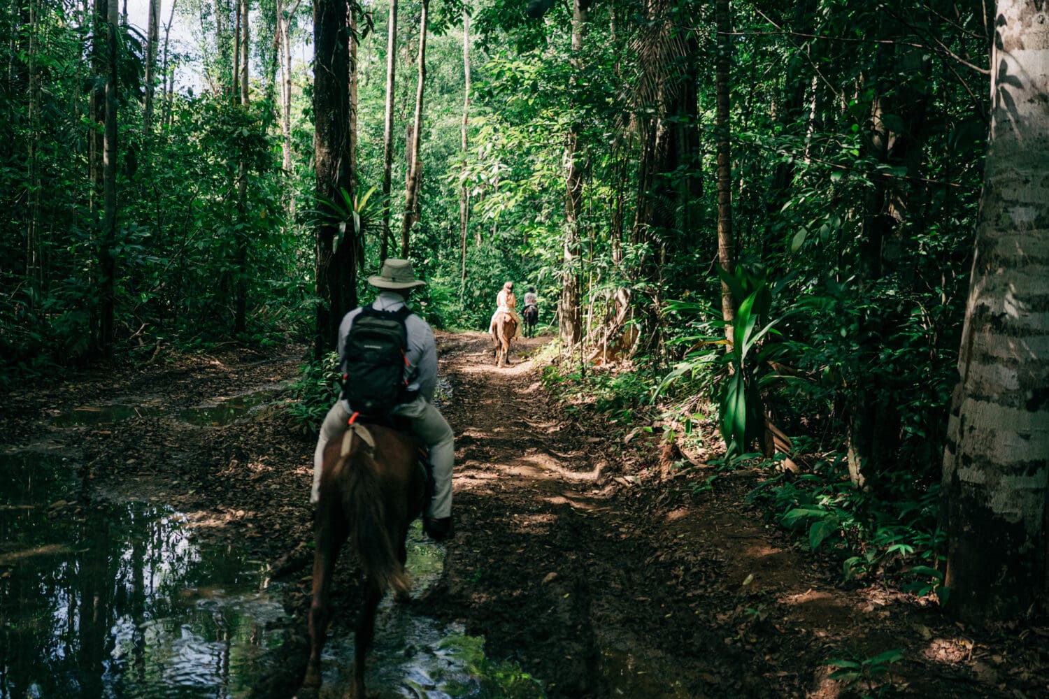 Osa Peninsula elopement la jungla del jaguar