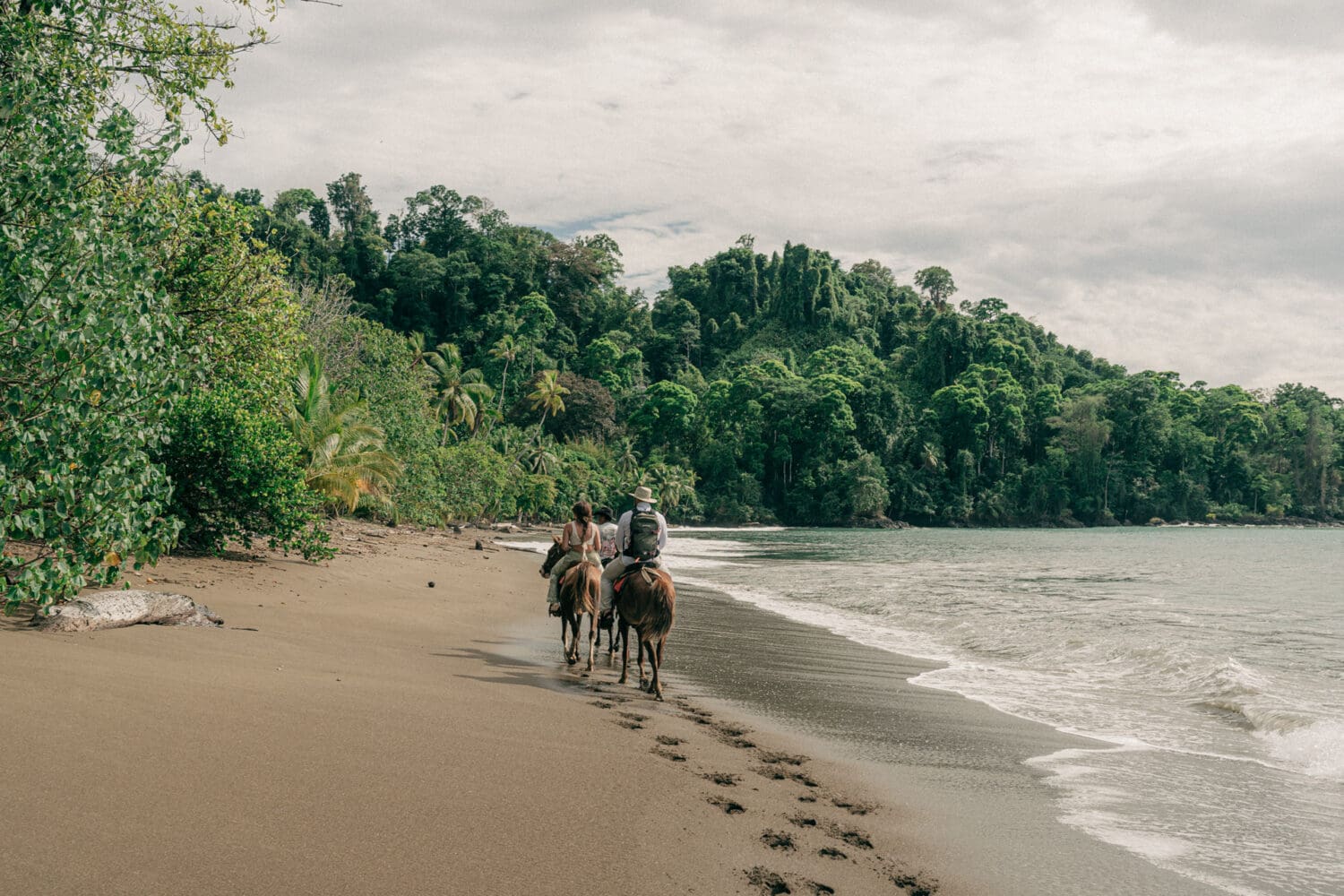 Osa Peninsula elopement la jungla del jaguar