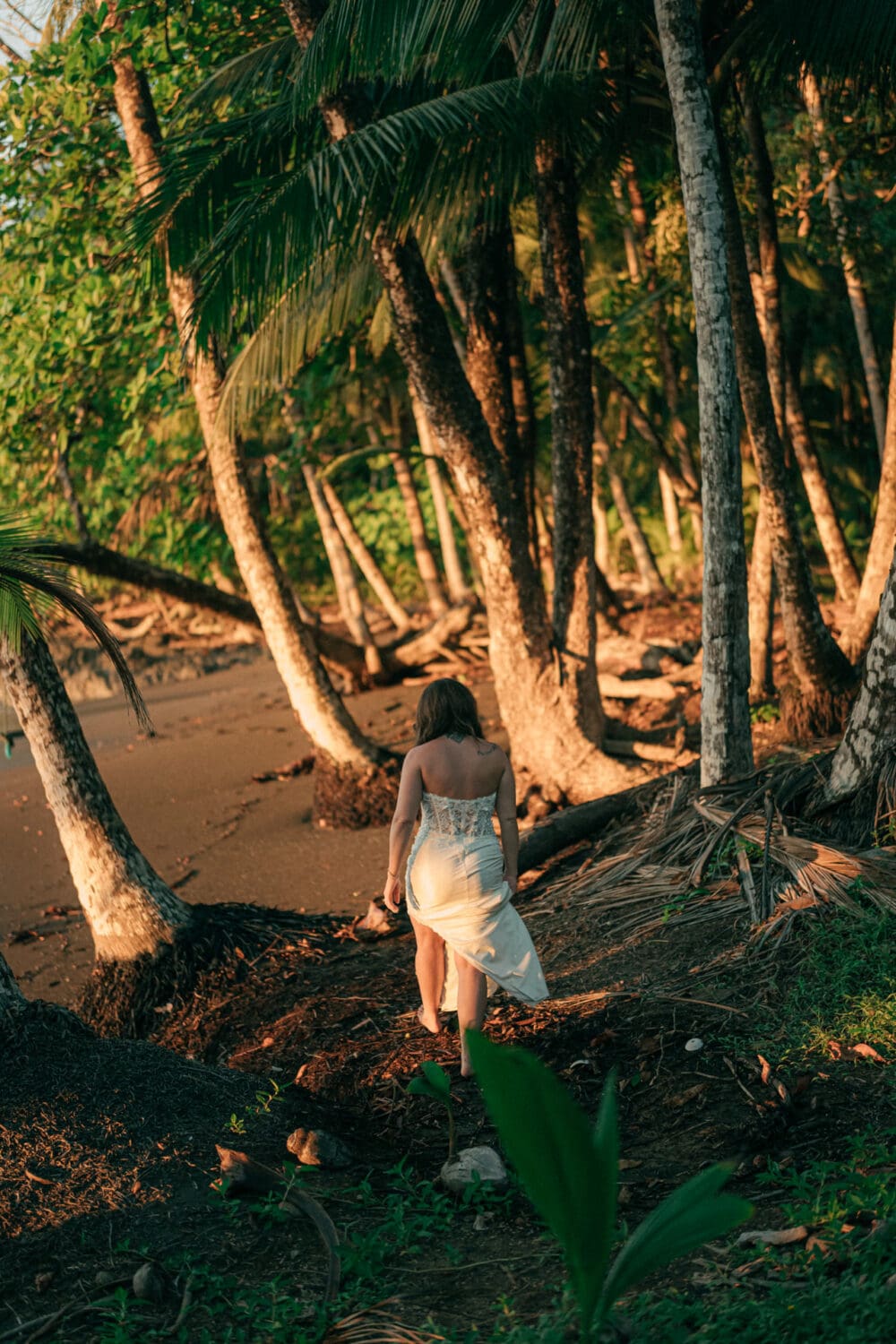 Osa Peninsula elopement la jungla del jaguar