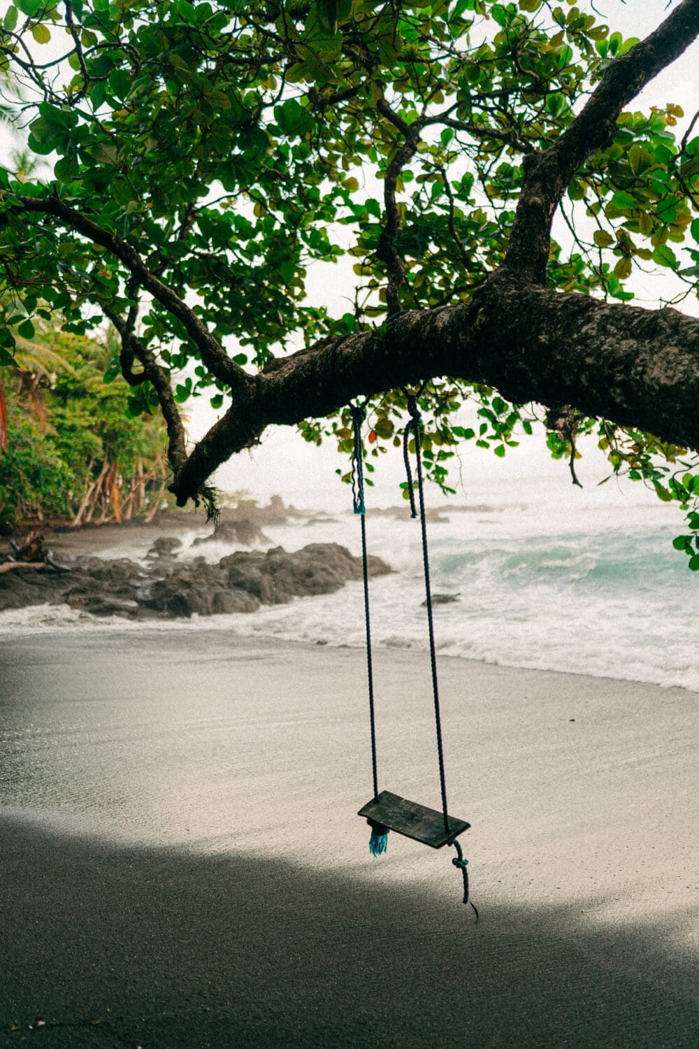 Osa Peninsula elopement la jungla del jaguar
