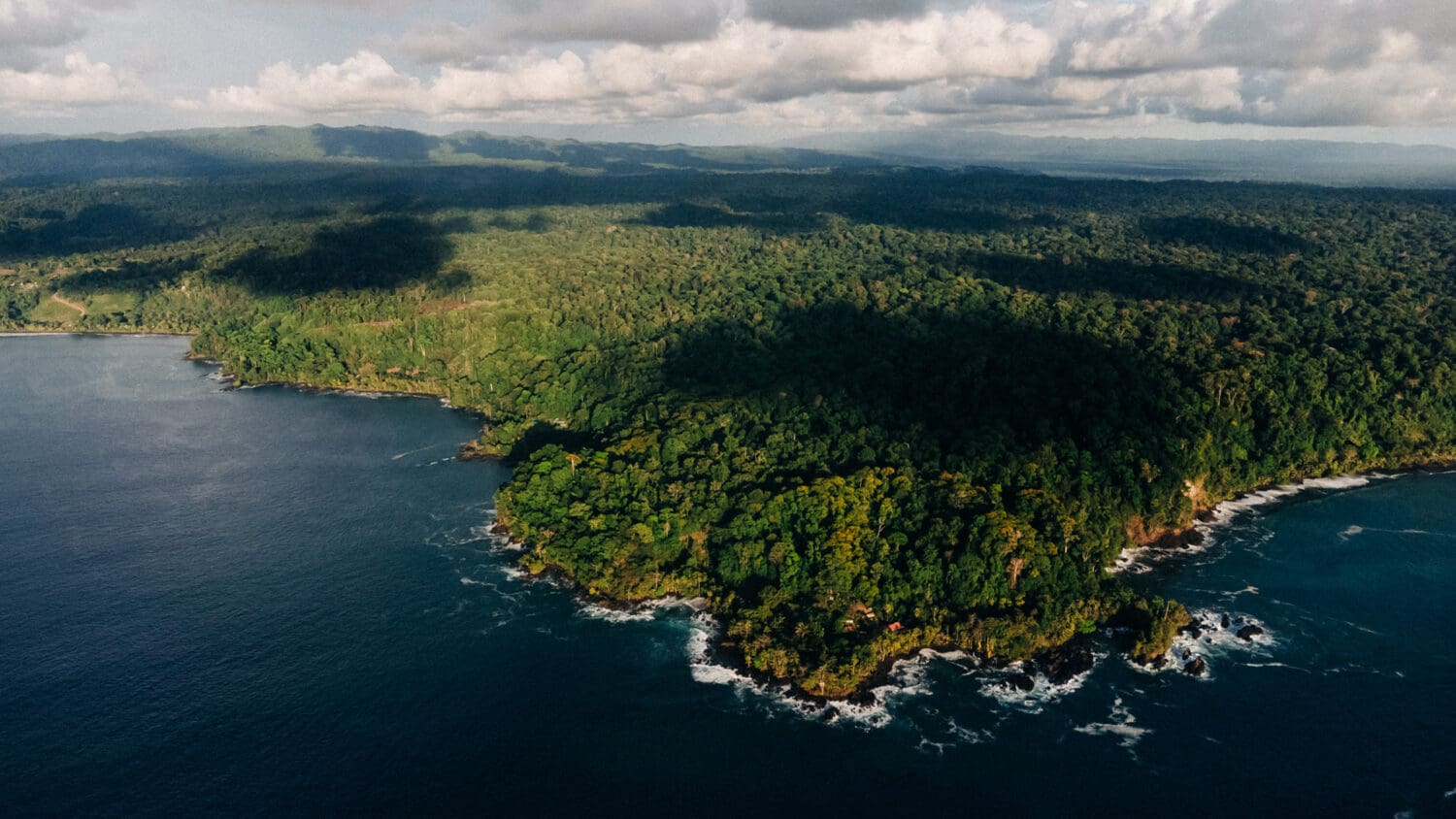 Osa Peninsula elopement la jungla del jaguar