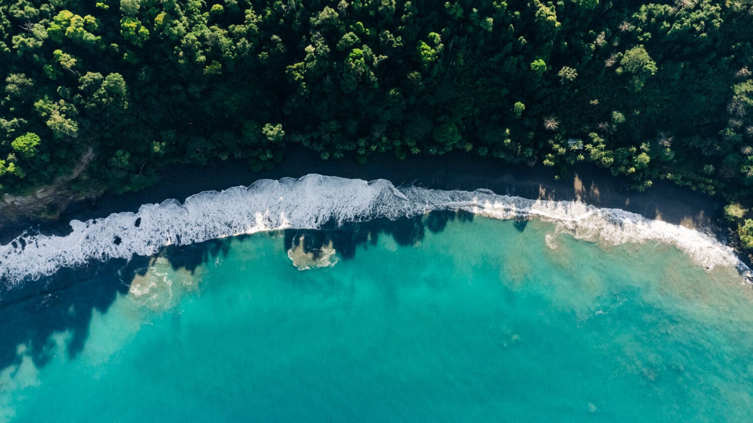 Osa Peninsula elopement la jungla del jaguar