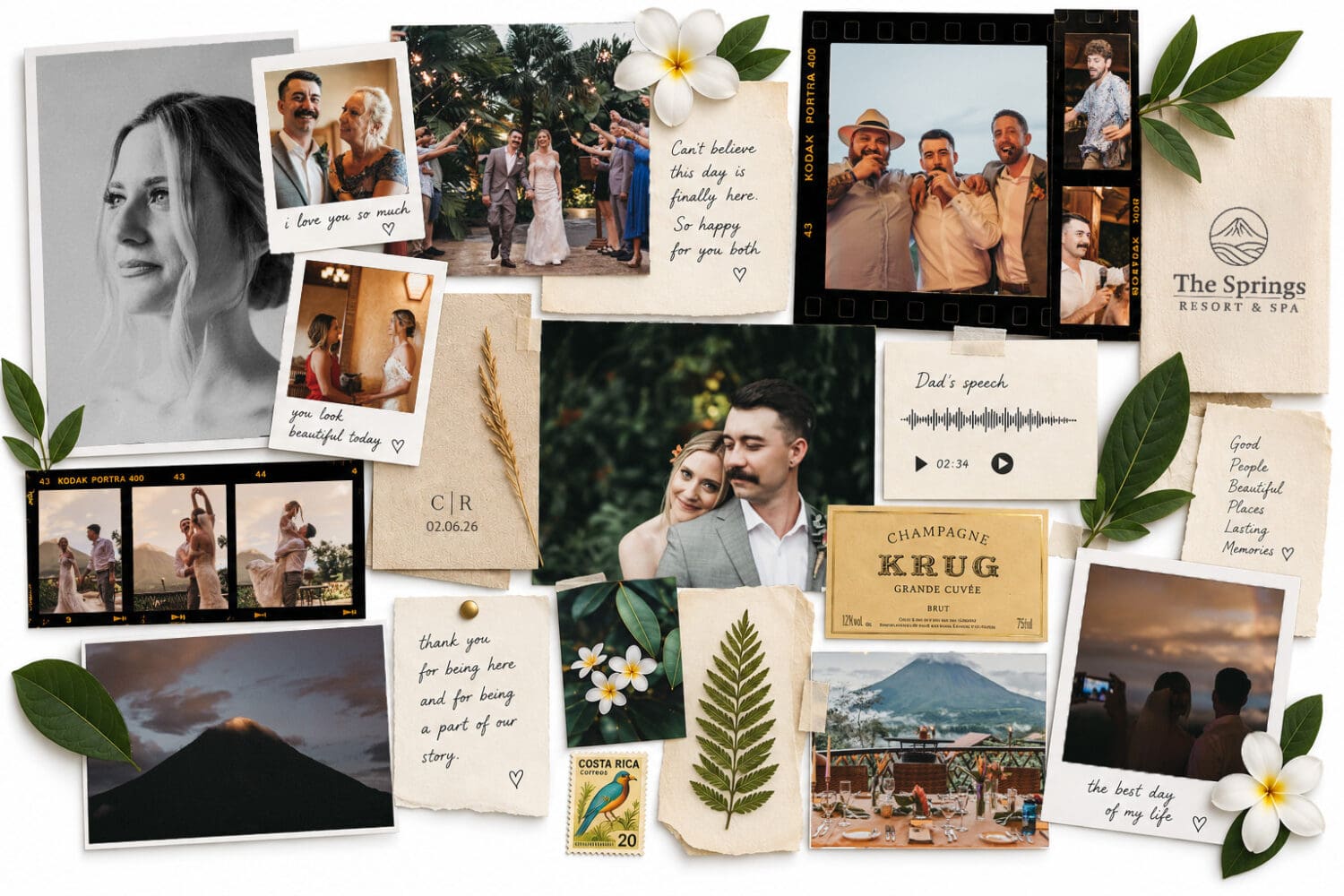 the wedding archive preview