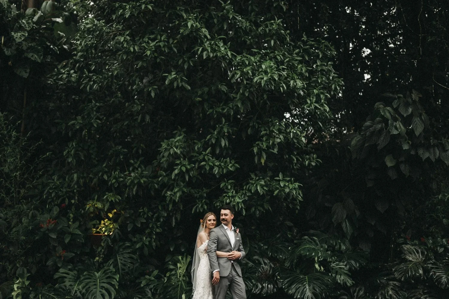 Bride hugging the groom from behind in front of a towering wall of rainforest leaves at their La Fortuna wedding in Costa Rica
